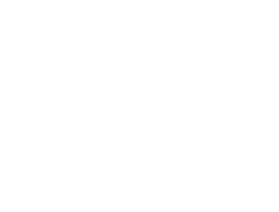 Geek Junior